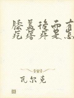 膝盖后面有个肉疙瘩疼是怎么回事