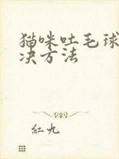 猫咪吐毛球的解决方法