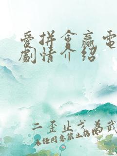 爱拼会赢电视剧剧情介绍