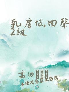 乳房低回声结节2级