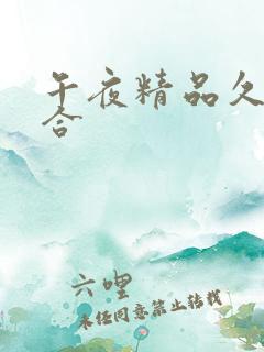 午夜精品久久久合