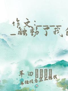 作文:_____触动了我的心灵600