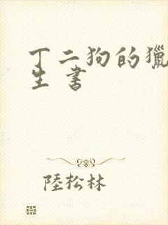 丁二狗的猎艳人生 书