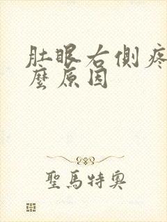 肚眼右侧疼是什么原因