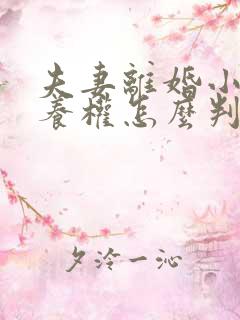 夫妻离婚小孩抚养权怎么判