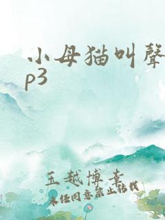 小母猫叫声音mp3