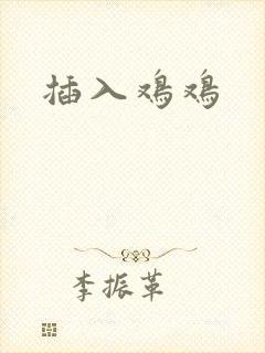 插入鸡鸡