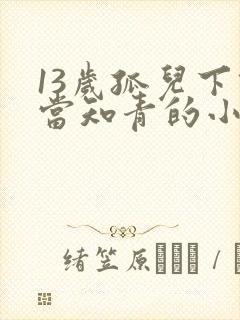 13岁孤儿下乡当知青的小说