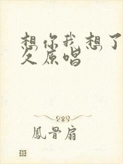 想你我想了那么久原唱