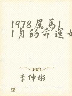 1978属马11月的命运如何