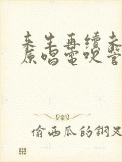 来生再续未了情原唱电吹管