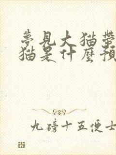 梦见大猫带着小猫是什么预兆