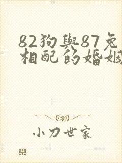 82狗与87兔相配的婚姻如何