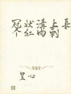 冠状沟上长了两个红肉刺