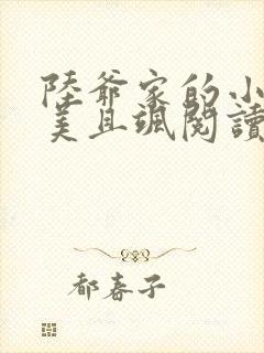 陆爷家的小祖宗美且飒阅读全文全文