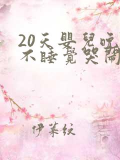 20天婴儿晚上不睡觉哭闹什么原因