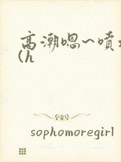 高潮嗯~喷水了(h