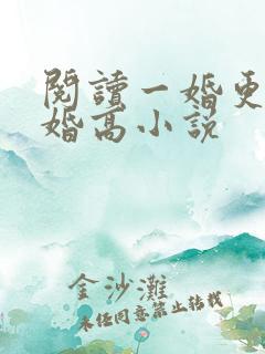 阅读一婚更比一婚高小说
