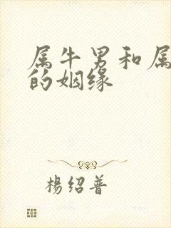 属牛男和属蛇女的姻缘