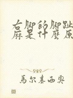 右脚的脚趾头发麻是什么原因