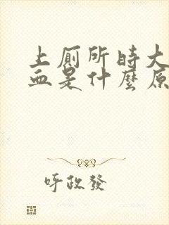 上厕所时大量出血是什么原因