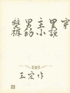 双男主里穿纸尿裤的小说