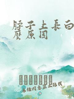 脖子上长白点什么原因