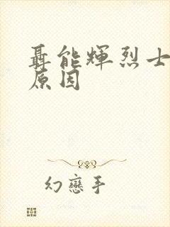 聂能辉烈士牺牲原因