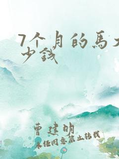 7个月的马犬多少钱