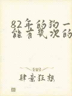 82年的狗一生能有几次的婚姻