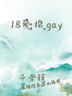 18飞机gay