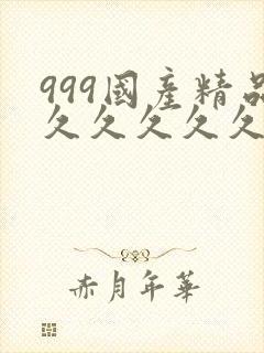 999国产精品久久久久久