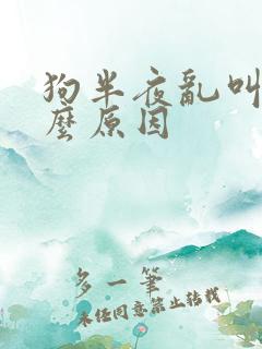 狗半夜乱叫是什么原因