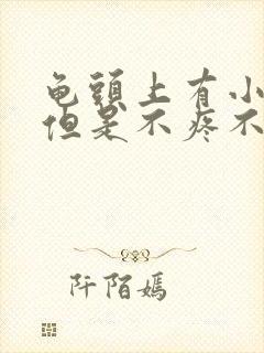 龟头上有小疙瘩但是不疼不痒