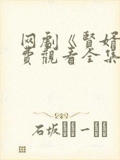 网剧《贤婿》免费观看全集