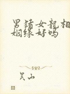 男猪女龙相配的姻缘好吗