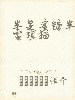 半是蜜糖半是伤电视猫