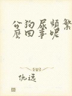 公狗尿频繁是怎么回事呢