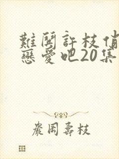 难哄许枝俏谈个恋爱吧20集