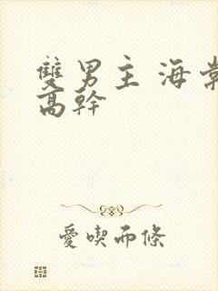 双男主 海棠 高干