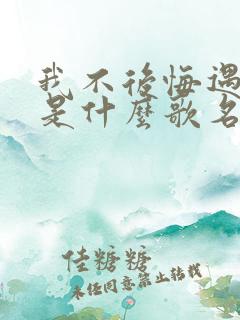 我不后悔遇见你是什么歌名