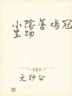 小阴唇鸡冠状赘生物