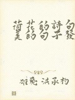 荷花的诗句和优美的句子发朋友圈