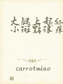 大腿上起红色的小斑点很痒