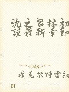 沈之昂林初窈小说最新章节免费阅读