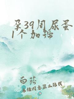 孕39周尿蛋白1个加号