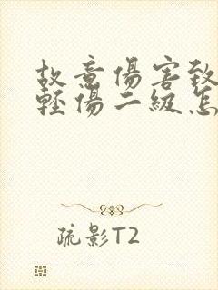 故意伤害致他人轻伤二级怎样判