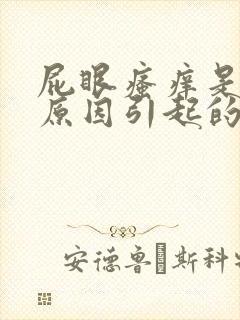 屁眼瘙痒是什么原因引起的