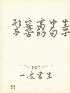 形容高中生读书辛苦的句子