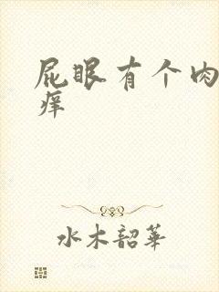 屁眼有个肉球很痒